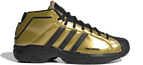 Adidas Pro Model 2G