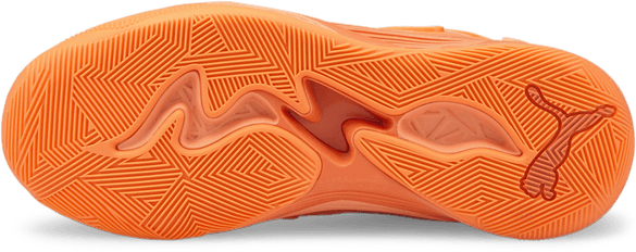 Puma TRC Blaze Court