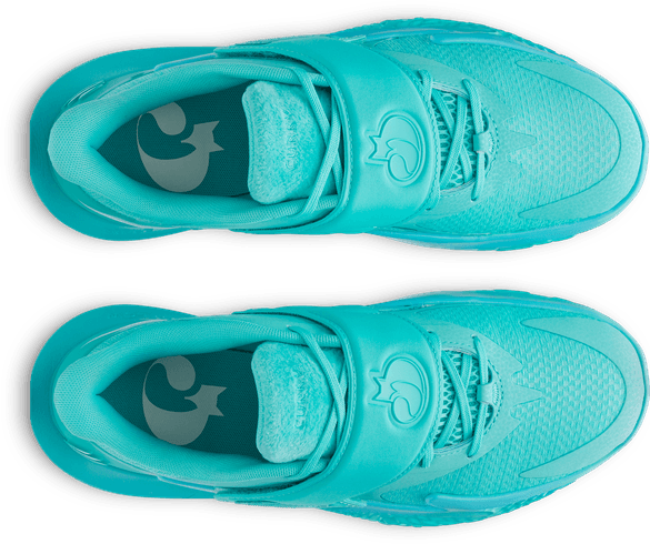 Under Armour Curry Fox 2