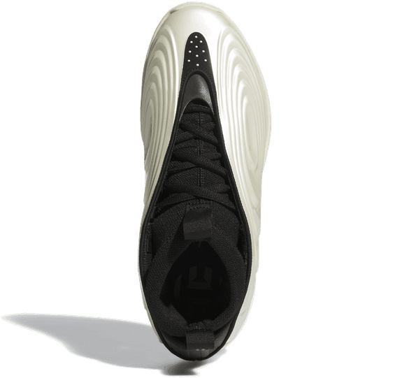 Adidas Harden Volume 10