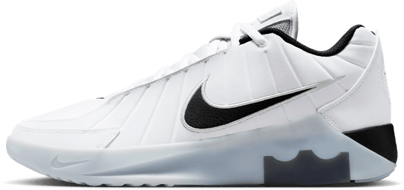 Nike Lebron Witness 9