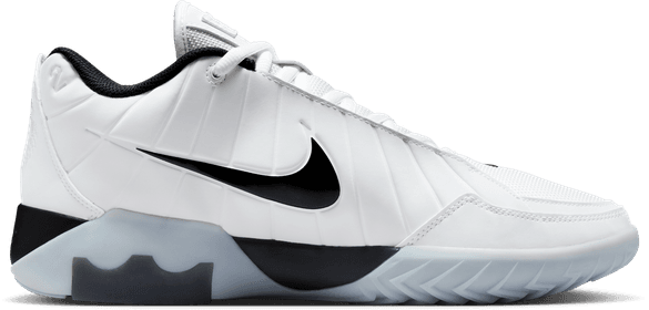 Nike Lebron Witness 9