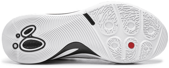 Li-Ning Wade DLo 2