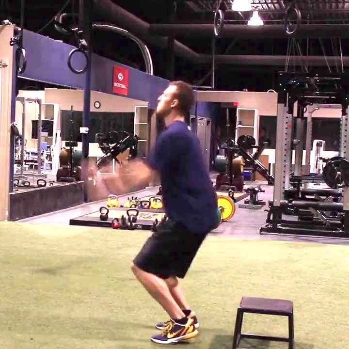 Learn How To Jump Higher Free 10 Week Vertical Jump Training