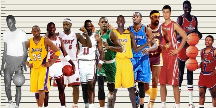 Perfervid region Uanset hvilken The Average Height of NBA Players from 1952-2022