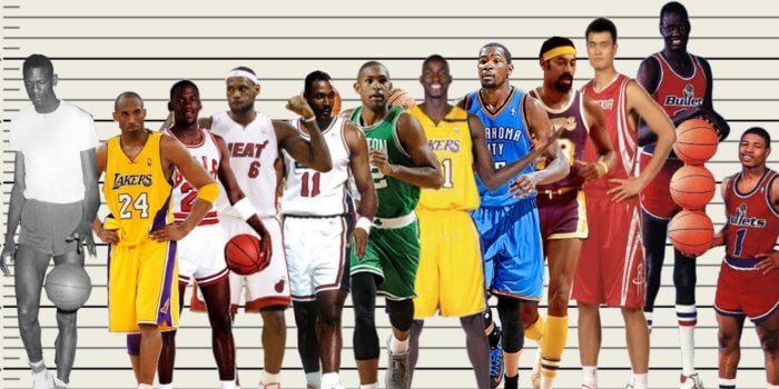 Basketball players height chart: from shortest to tallest